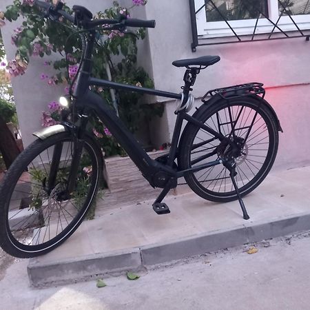 Clover Apartman Zadar Zewnętrze zdjęcie